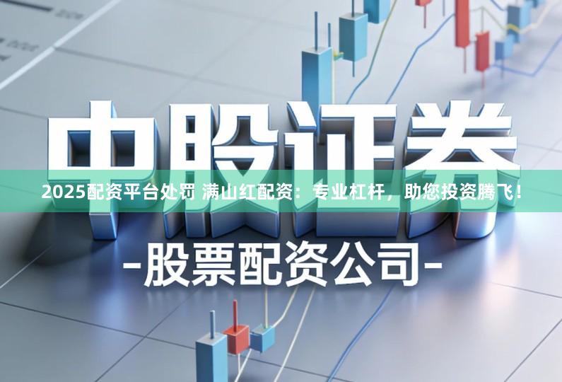2025配资平台处罚 满山红配资:专业杠杆,助您投资腾飞!
