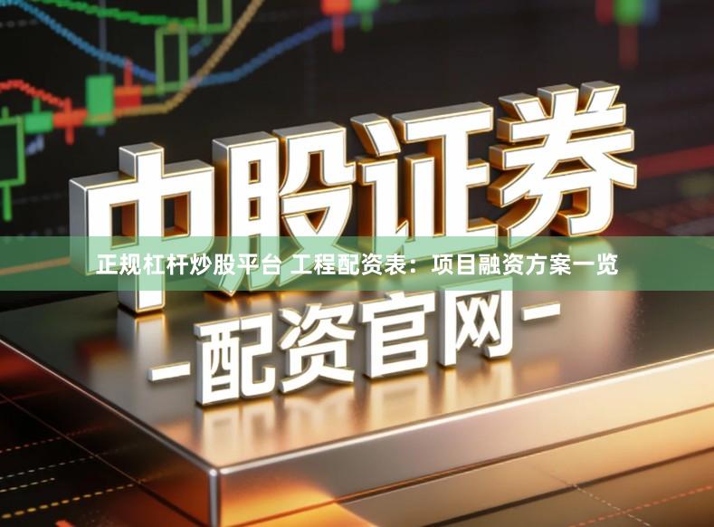 正规杠杆炒股平台 工程配资表：项目融资方案一览