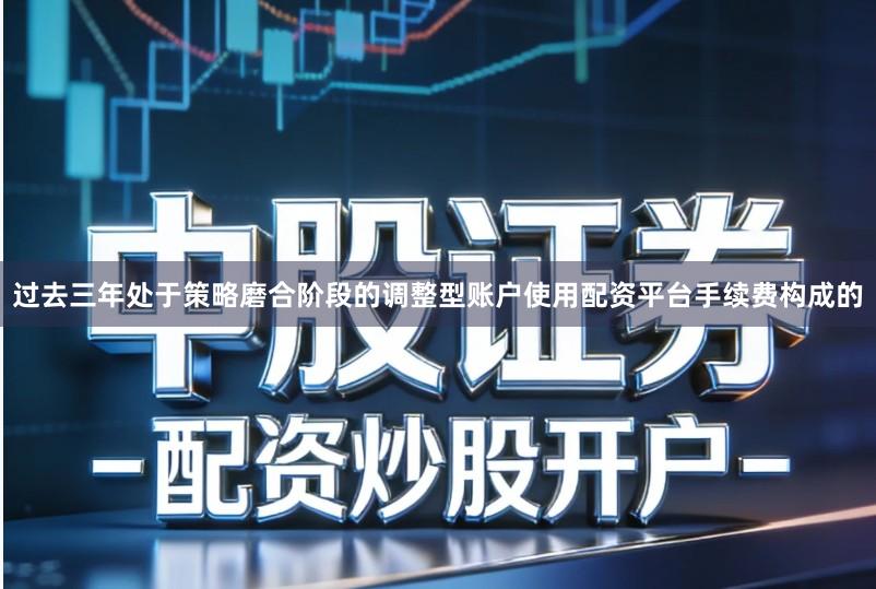 过去三年处于策略磨合阶段的调整型账户使用配资平台手续费构成的