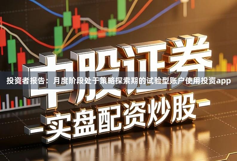 投资者报告：月度阶段处于策略探索期的试验型账户使用投资app