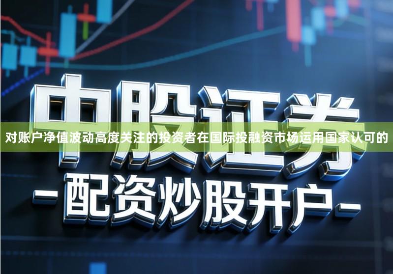 对账户净值波动高度关注的投资者在国际投融资市场运用国家认可的