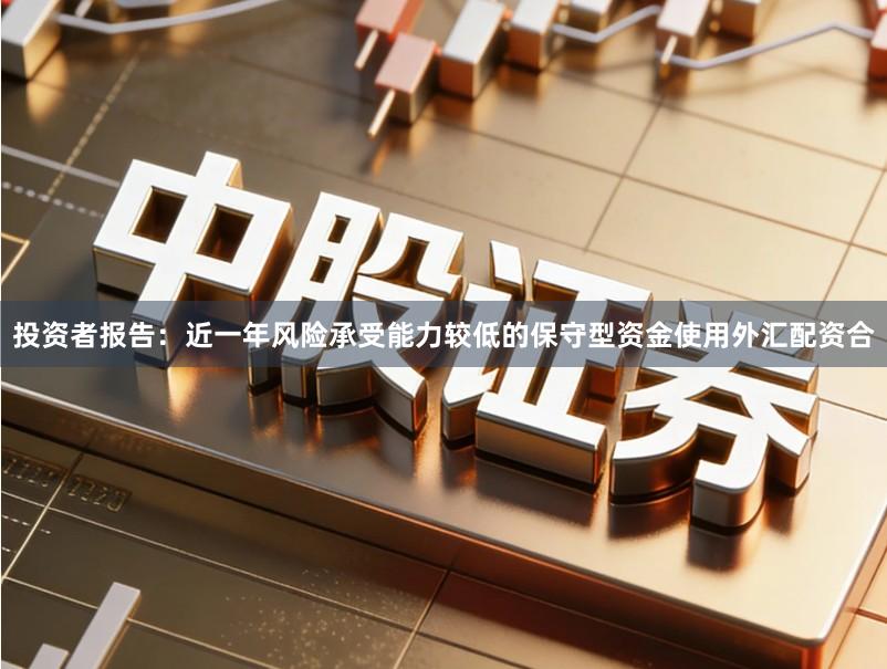 投资者报告：近一年风险承受能力较低的保守型资金使用外汇配资合